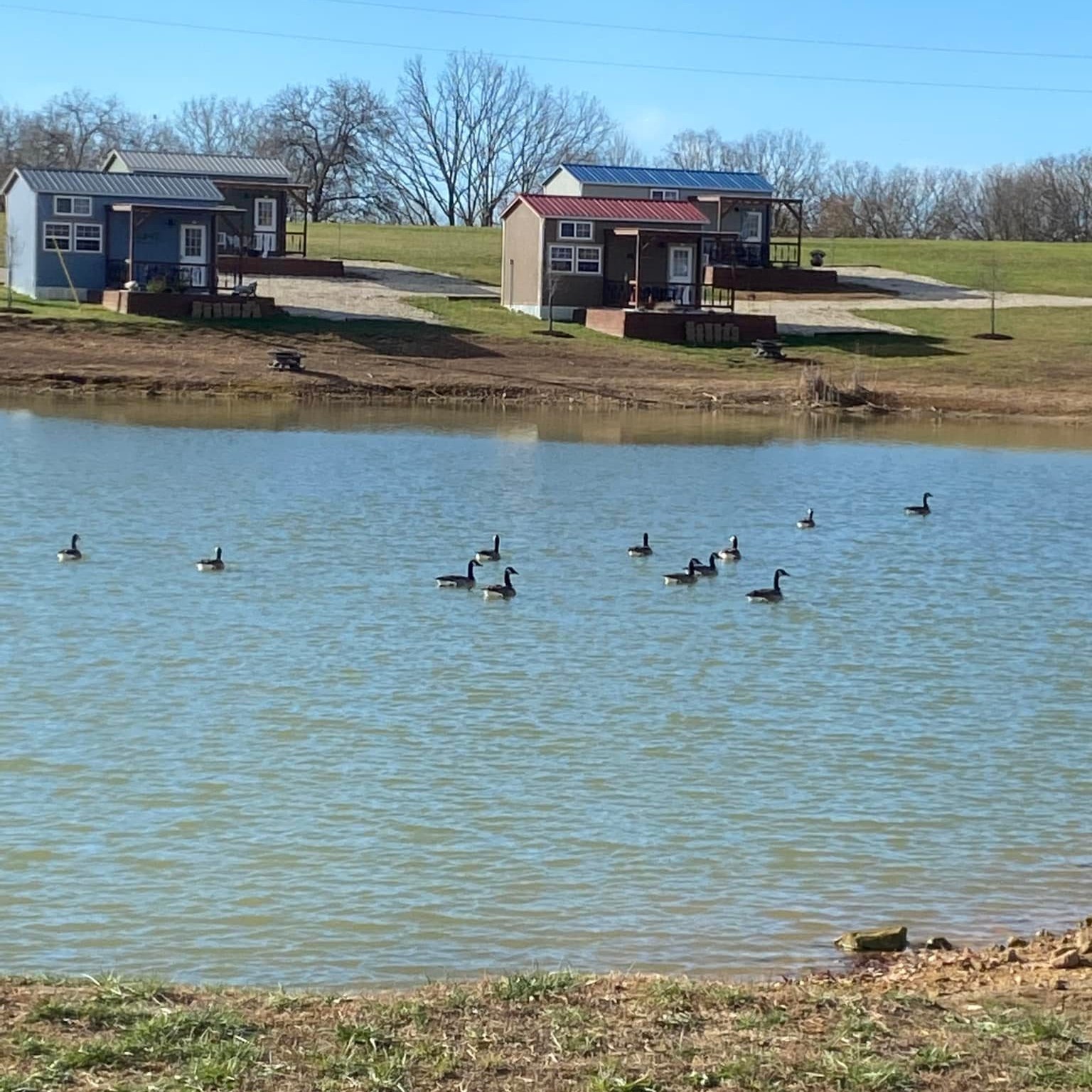 Tiny House Adventures - Leasburg, Missouri - glamping.directory