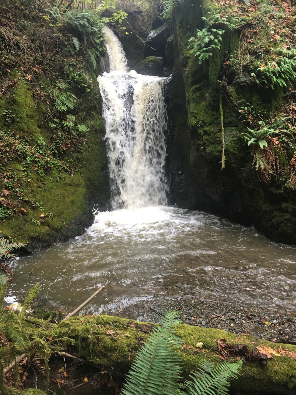 Taylor Creek Lodge - Gold Beach, Oregon - glamping.directory