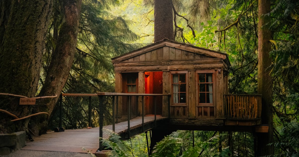 TreeHouse Point - Issaquah, Washington - glamping.directory