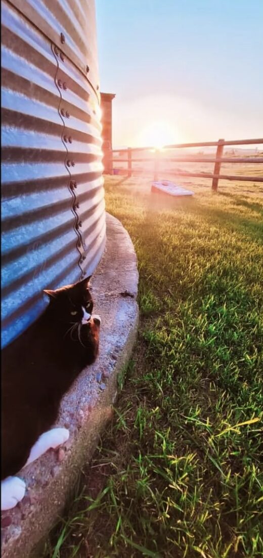 Snooze n fly Farm - Ronan, Montana - glamping.directory
