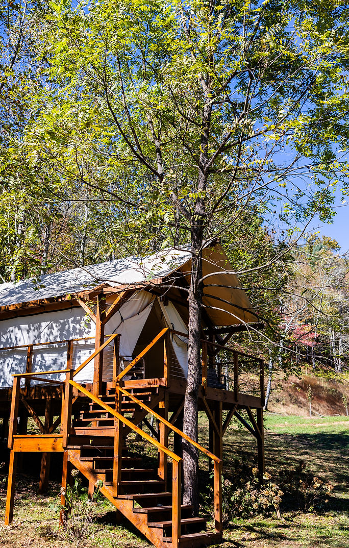 Fireflies & Moonlight Glamping - Hayesville, North Carolina - glamping.directory