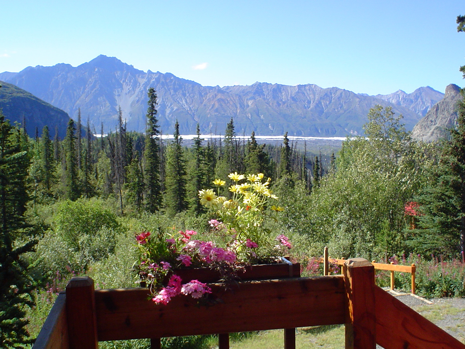 Tundra Rose Guest Cottages - Chickaloon, Alaska - glamping.directory
