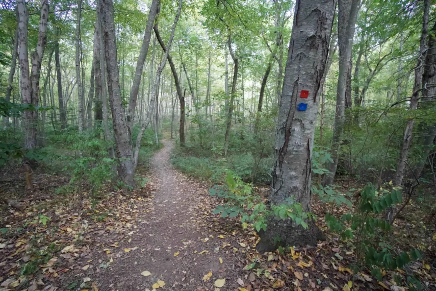 Ross Hill RV Park - Lisbon, Connecticut - glamping.directory