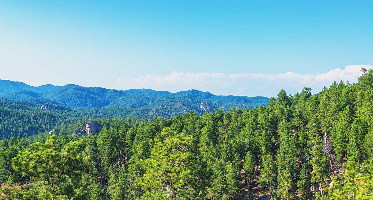 Campfire Cabins - Rapid City, South Dakota - glamping.directory