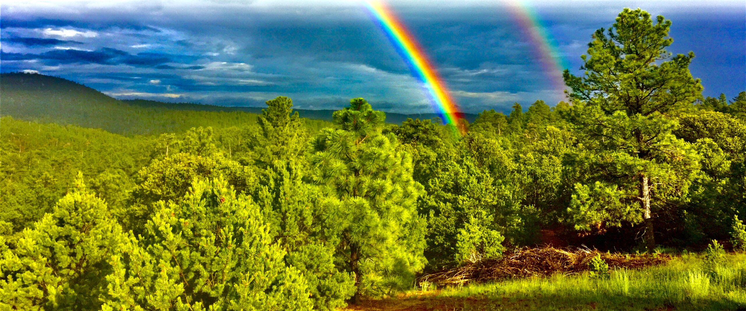 Santa Fe Tree-House Camp - Santa Fe, New Mexico - glamping.directory