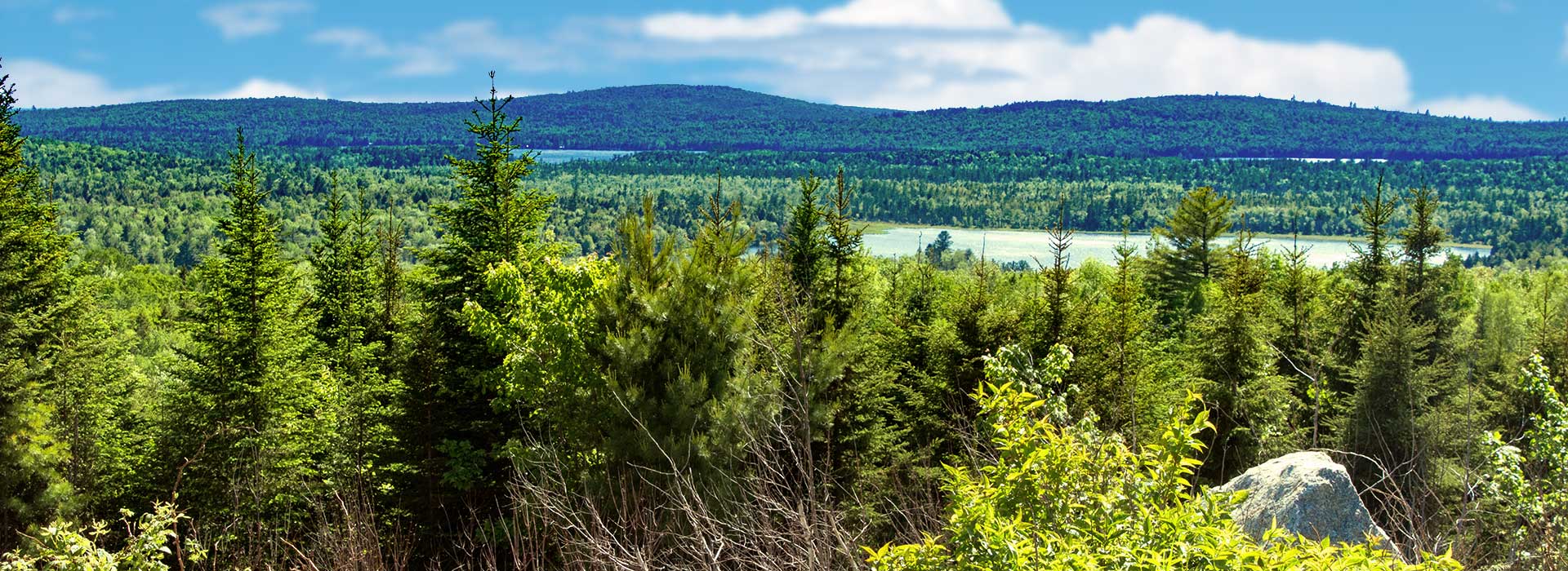 Sleeping Bear Inc - Lee, Maine - glamping.directory