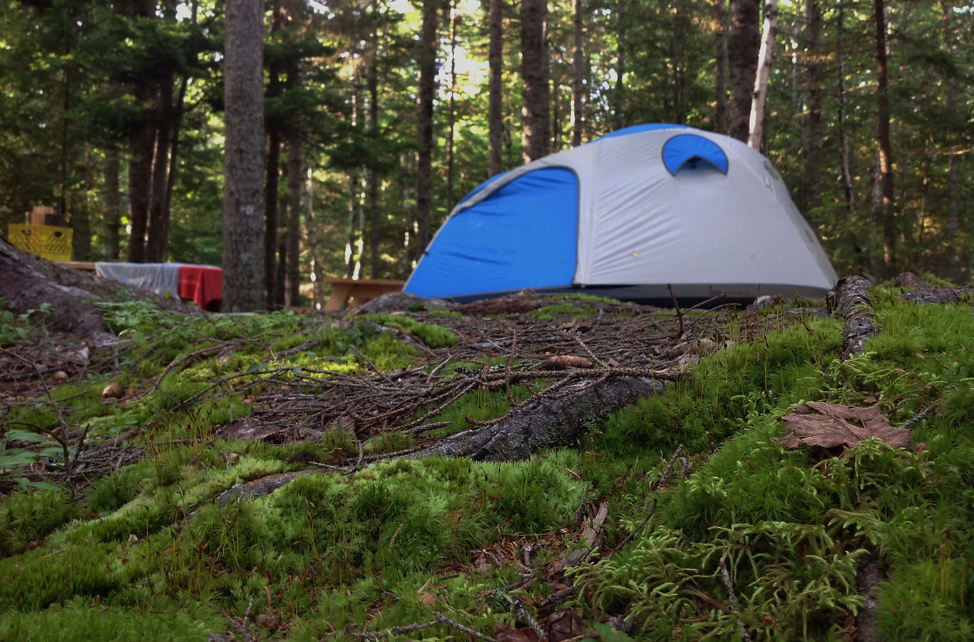 Quietside Campground & Cabins - Bernard, Maine - glamping.directory