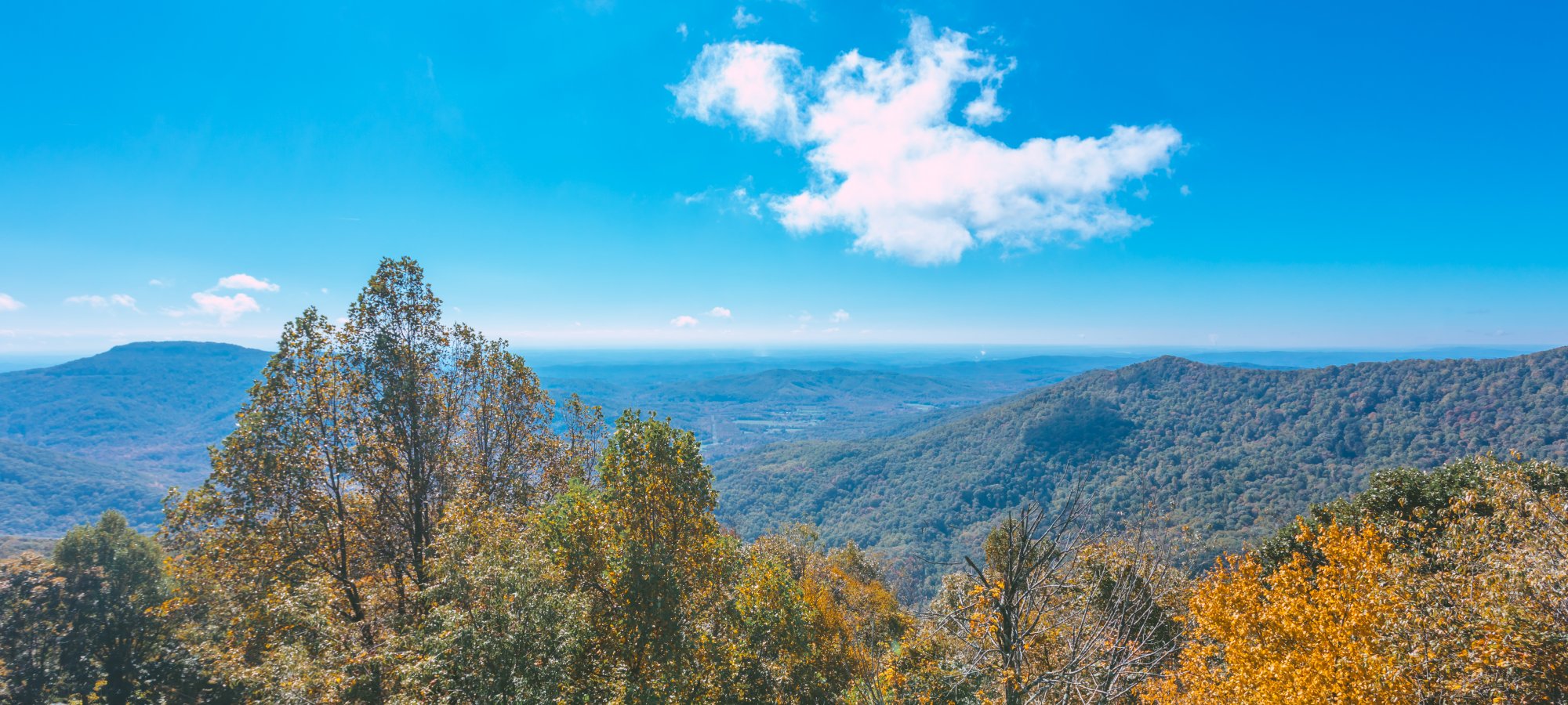 Frozen Head State Park - Wartburg, Tennessee - glamping.directory