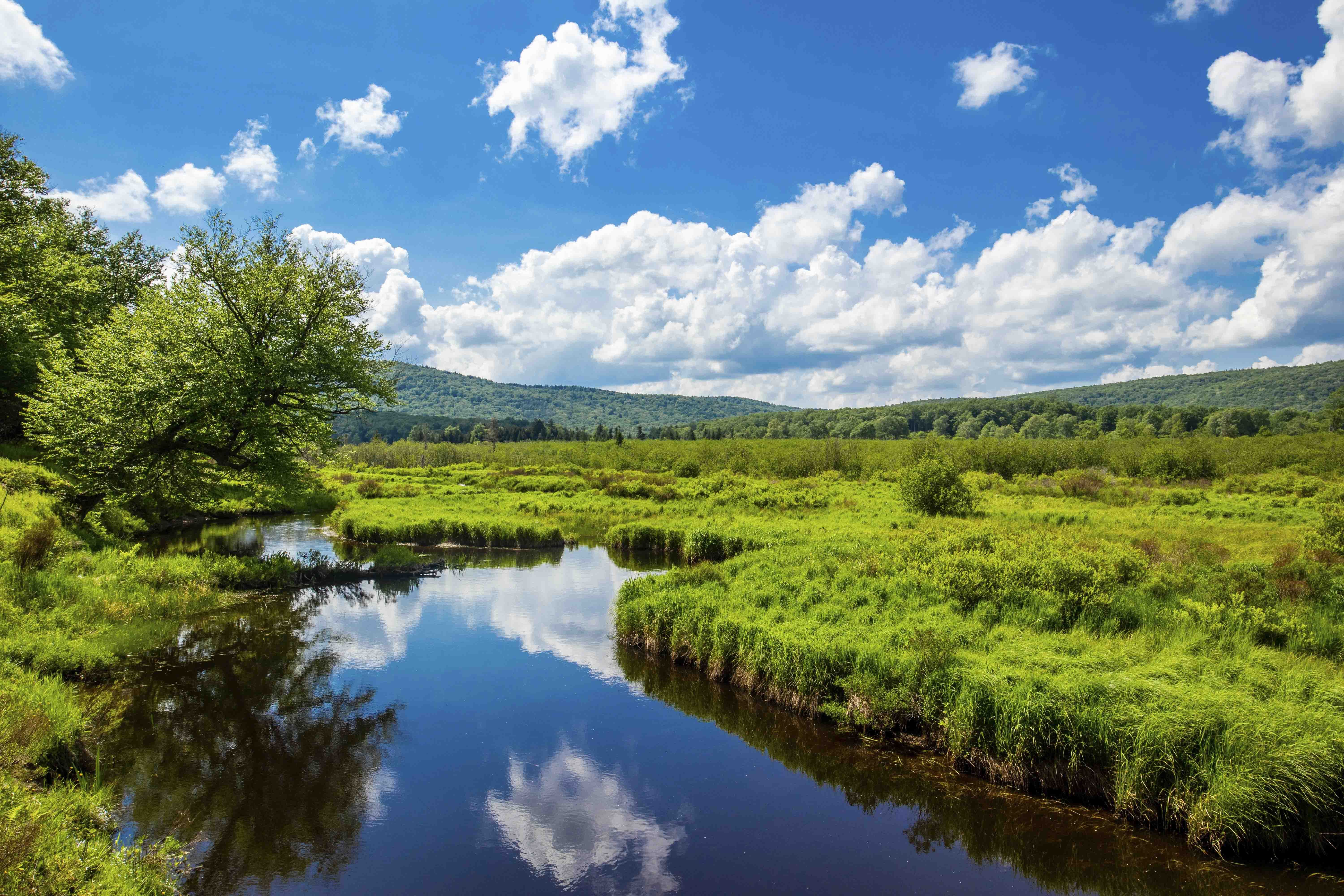 Canaan Valley Resort Campground - Davis, West Virginia - glamping.directory