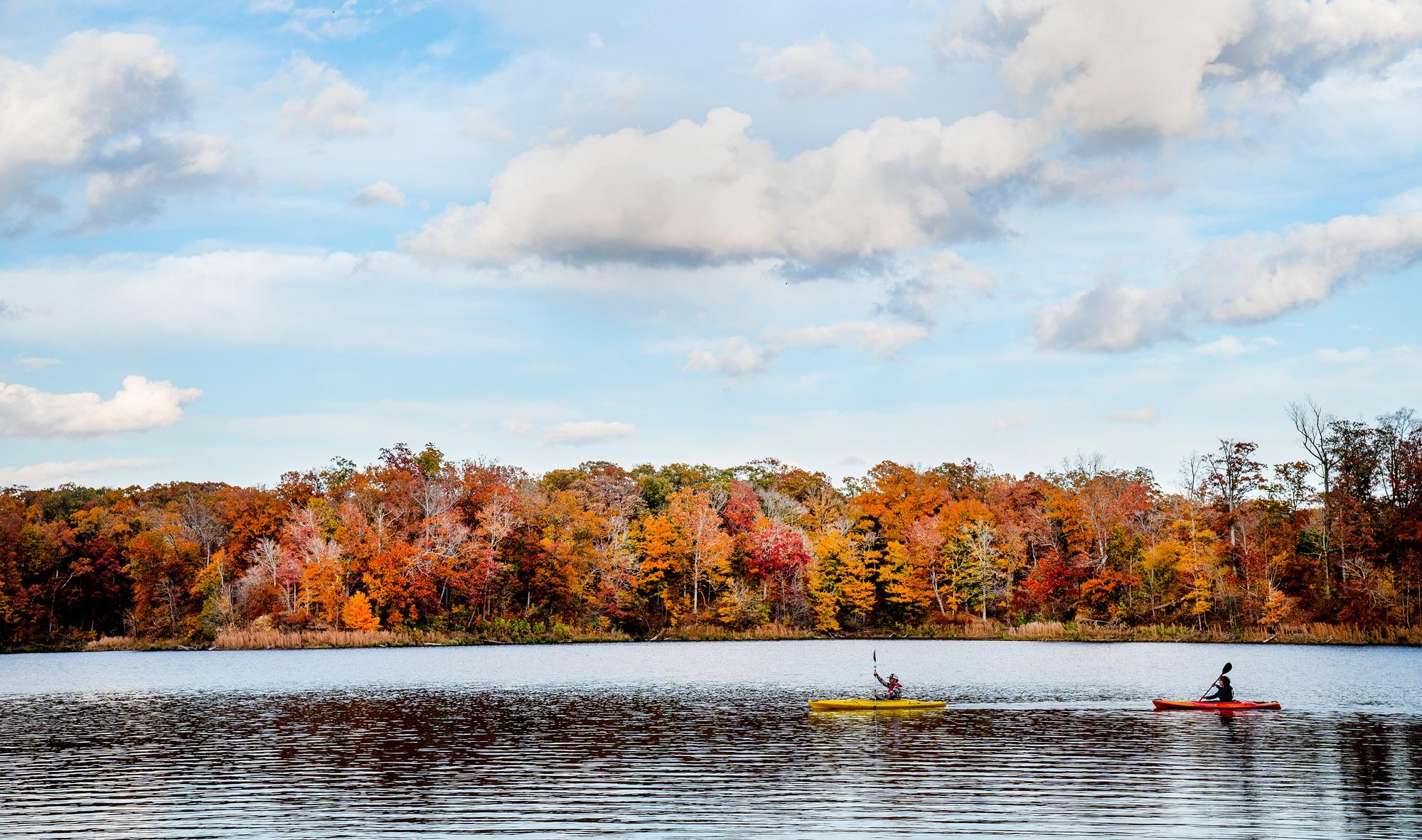 Mississippi River State Park - Marianna, Arkansas - glamping.directory