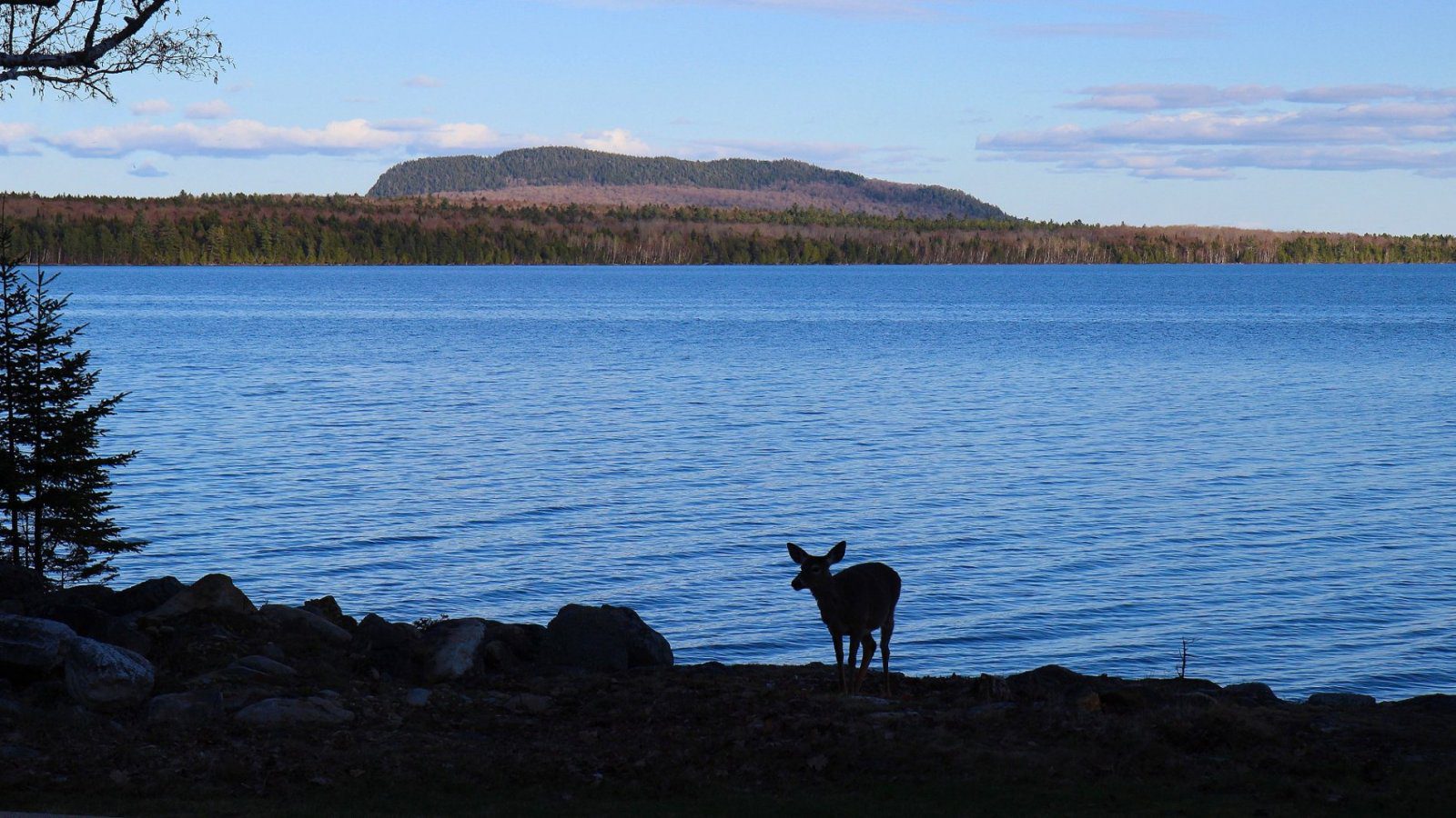 Tomhegan Wilderness Cabins - Rockwood, Maine - glamping.directory