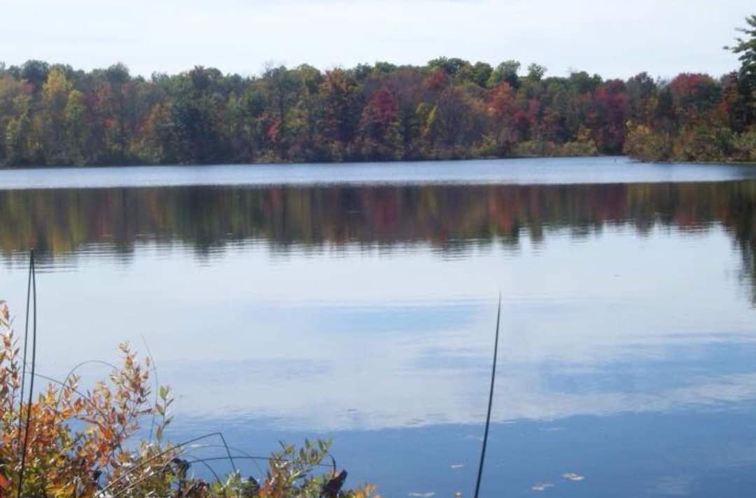 Schnable Lake Family Campground - Otsego, Michigan - glamping.directory