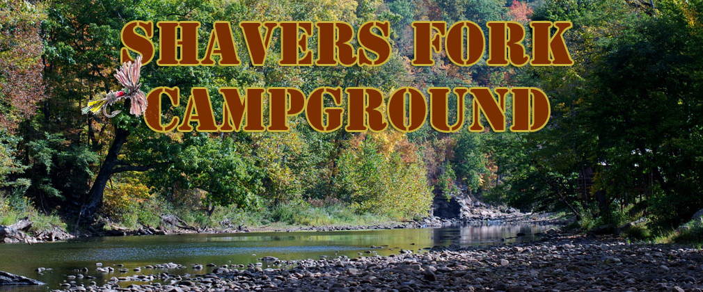Shavers Fork Campground - Elkins, West Virginia - glamping.directory