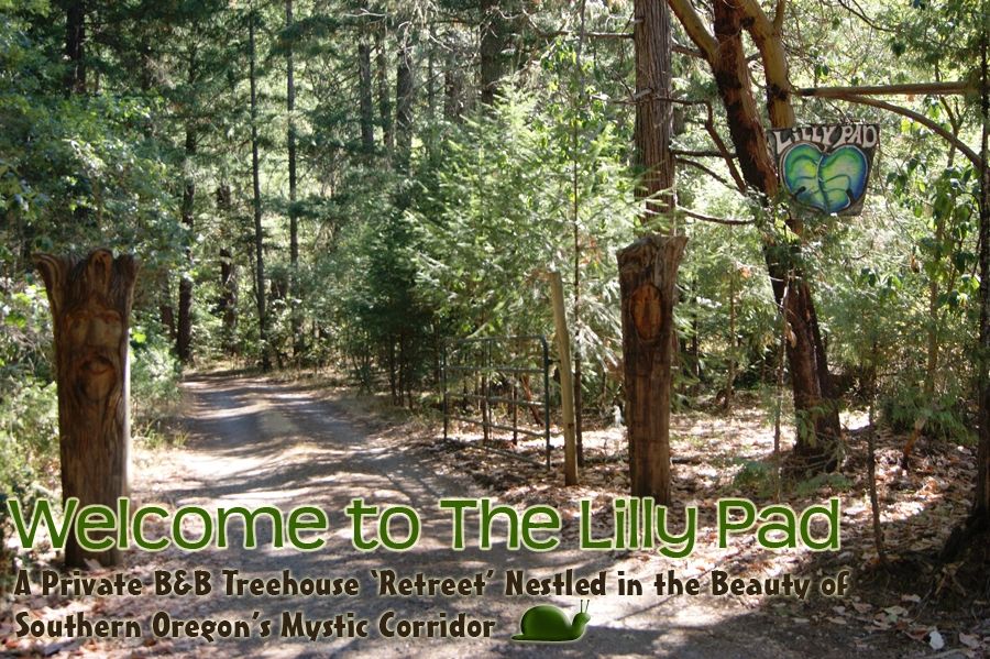 Lilly's Pad - Cave Junction, Oregon - glamping.directory