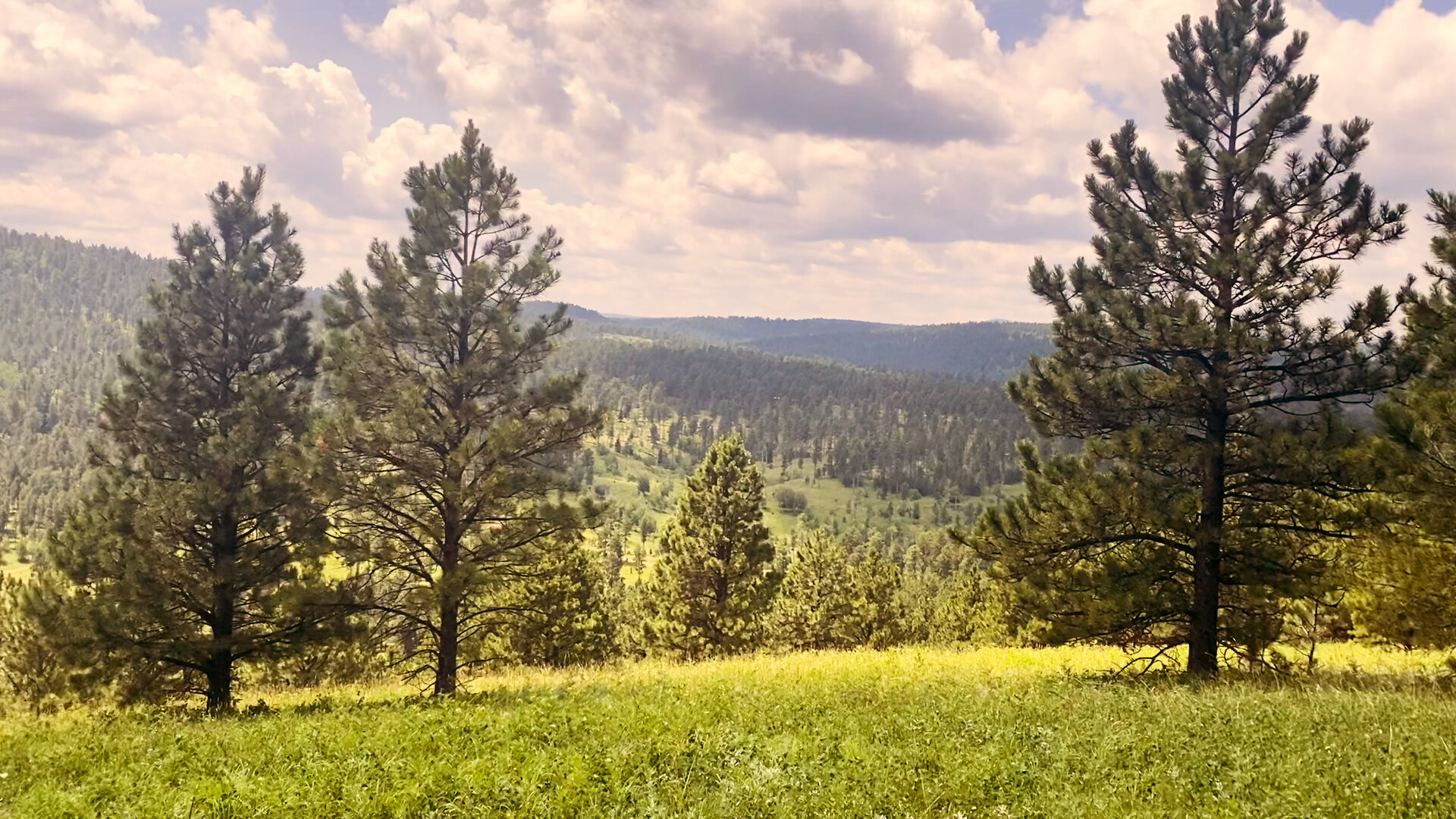 Hay Creek Ranch - Nemo, South Dakota - glamping.directory