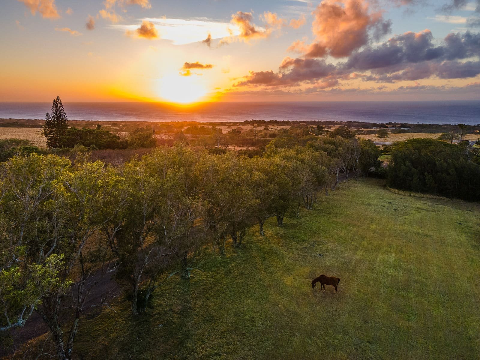 Puakea Ranch - Hawi, Hawaii - glamping.directory