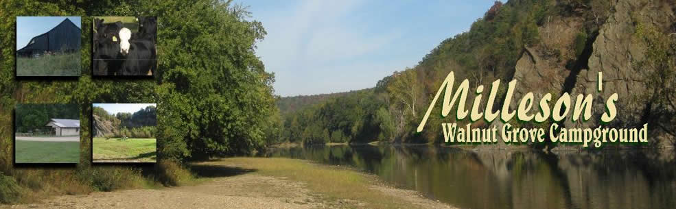 Milleson's Walnut Grove - Springfield, West Virginia - glamping.directory