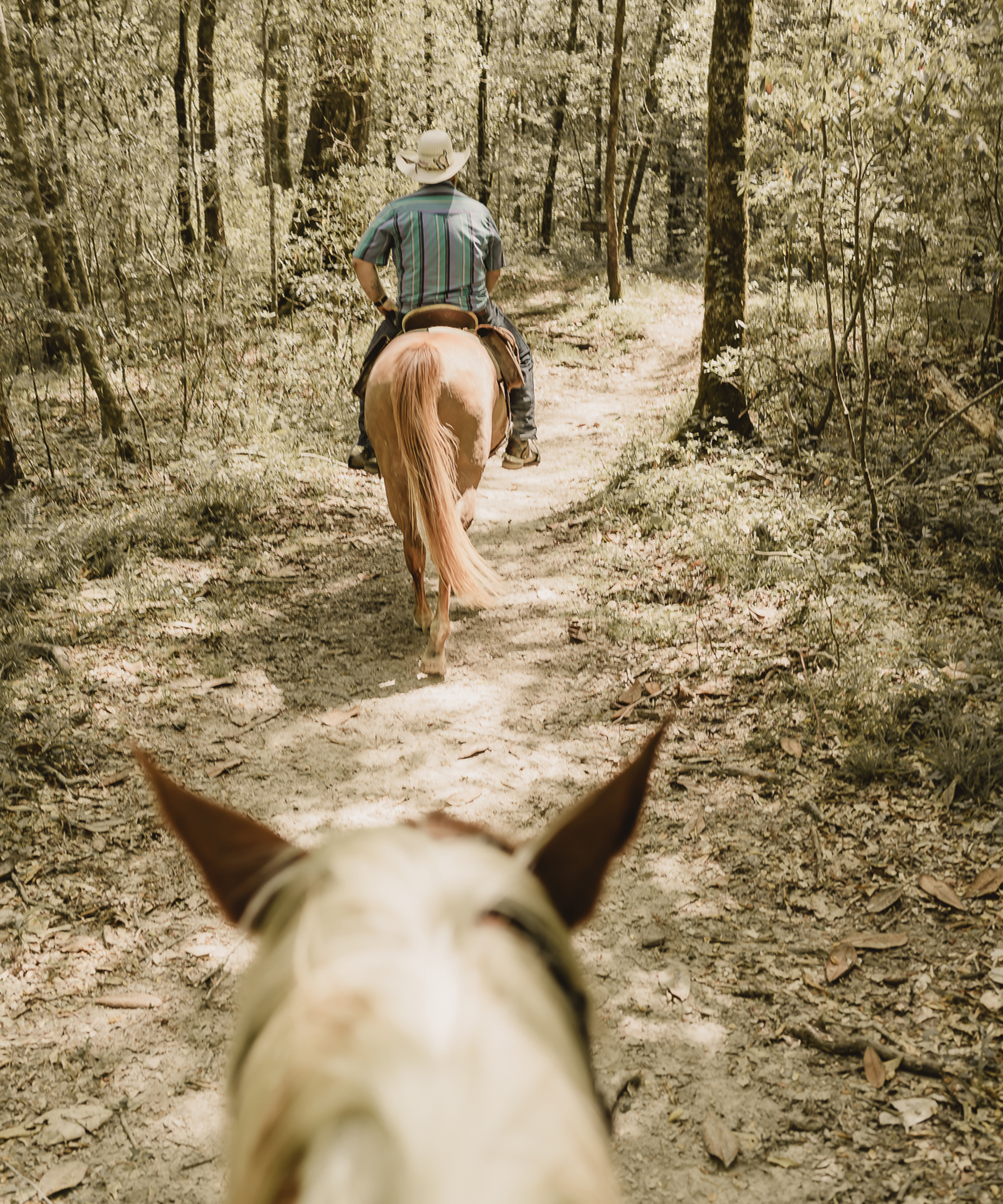 Brushy Creek Ranch - Gloster, Mississippi - glamping.directory