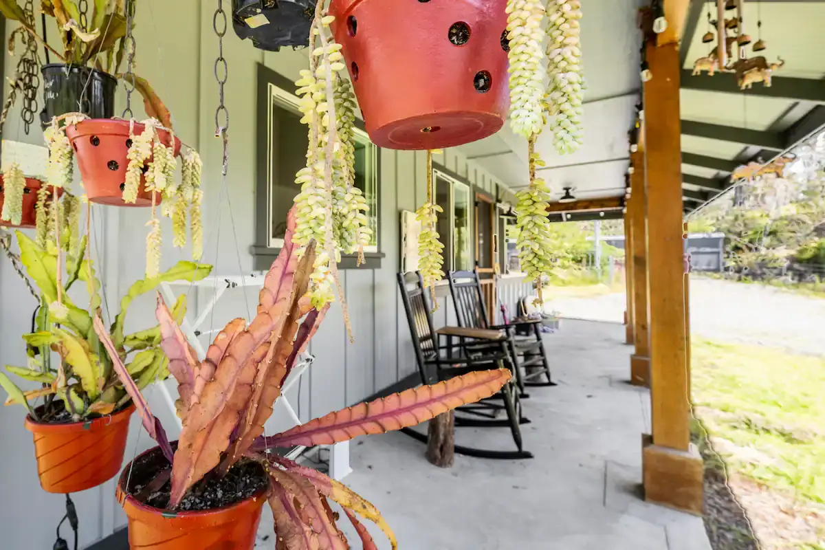 Cozy Volcanic Rainforest House - Volcano, Hawaii - glamping.directory