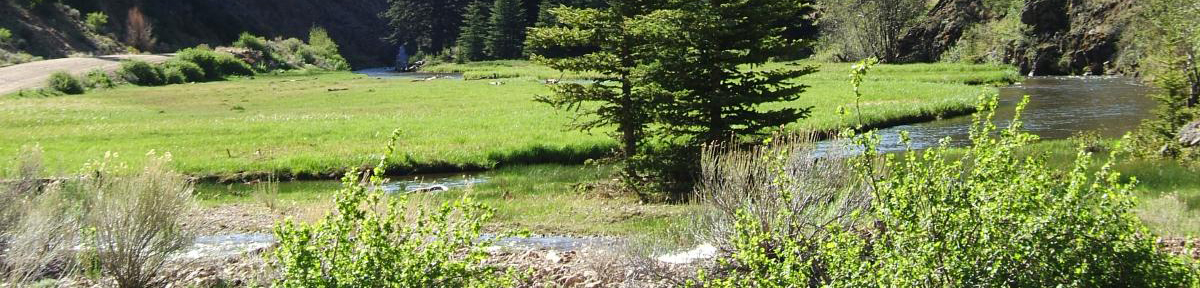 Rio Costilla Park & Campground - Amalia, New Mexico - glamping.directory
