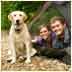 Neversink River Campgrounds - Woodbourne, New York - glamping.directory