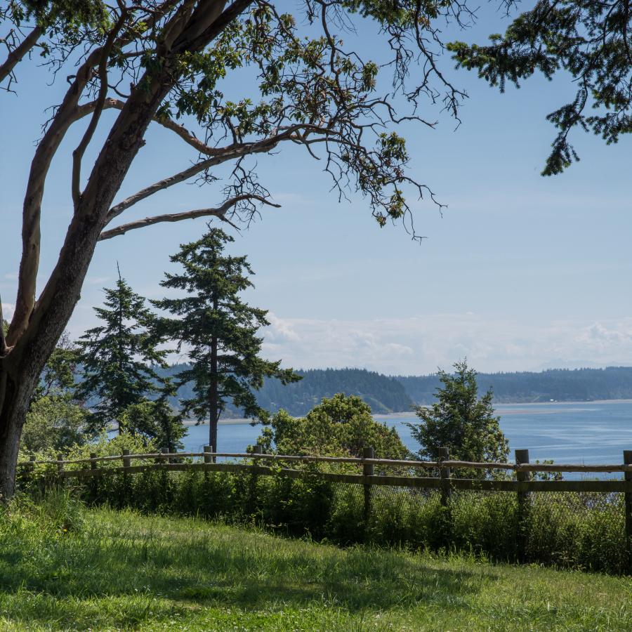 Camano Island State Park - Camano, Washington - glamping.directory