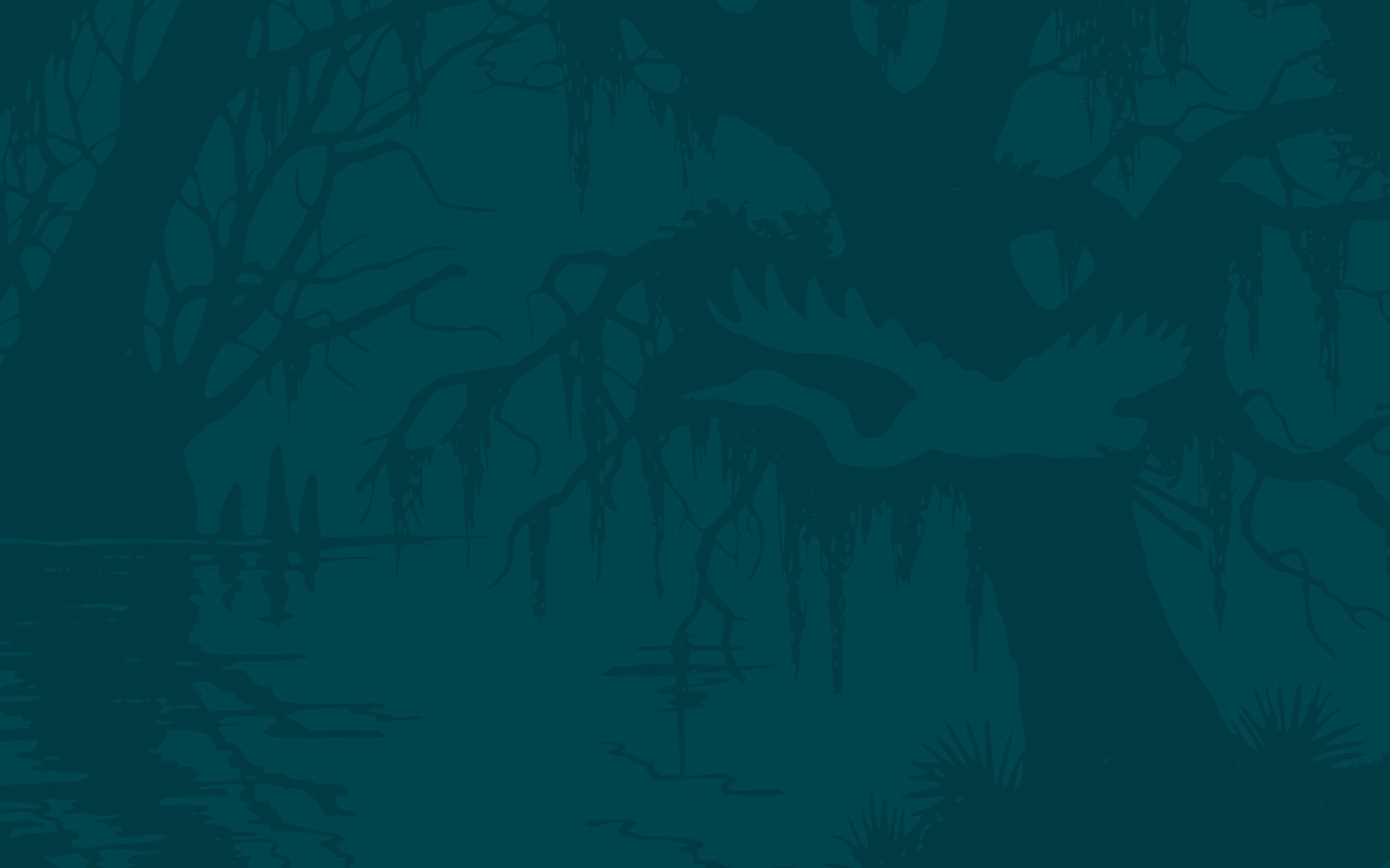 Edisto Refuge (Treehouse Island) - Reevesville, South Carolina - glamping.directory