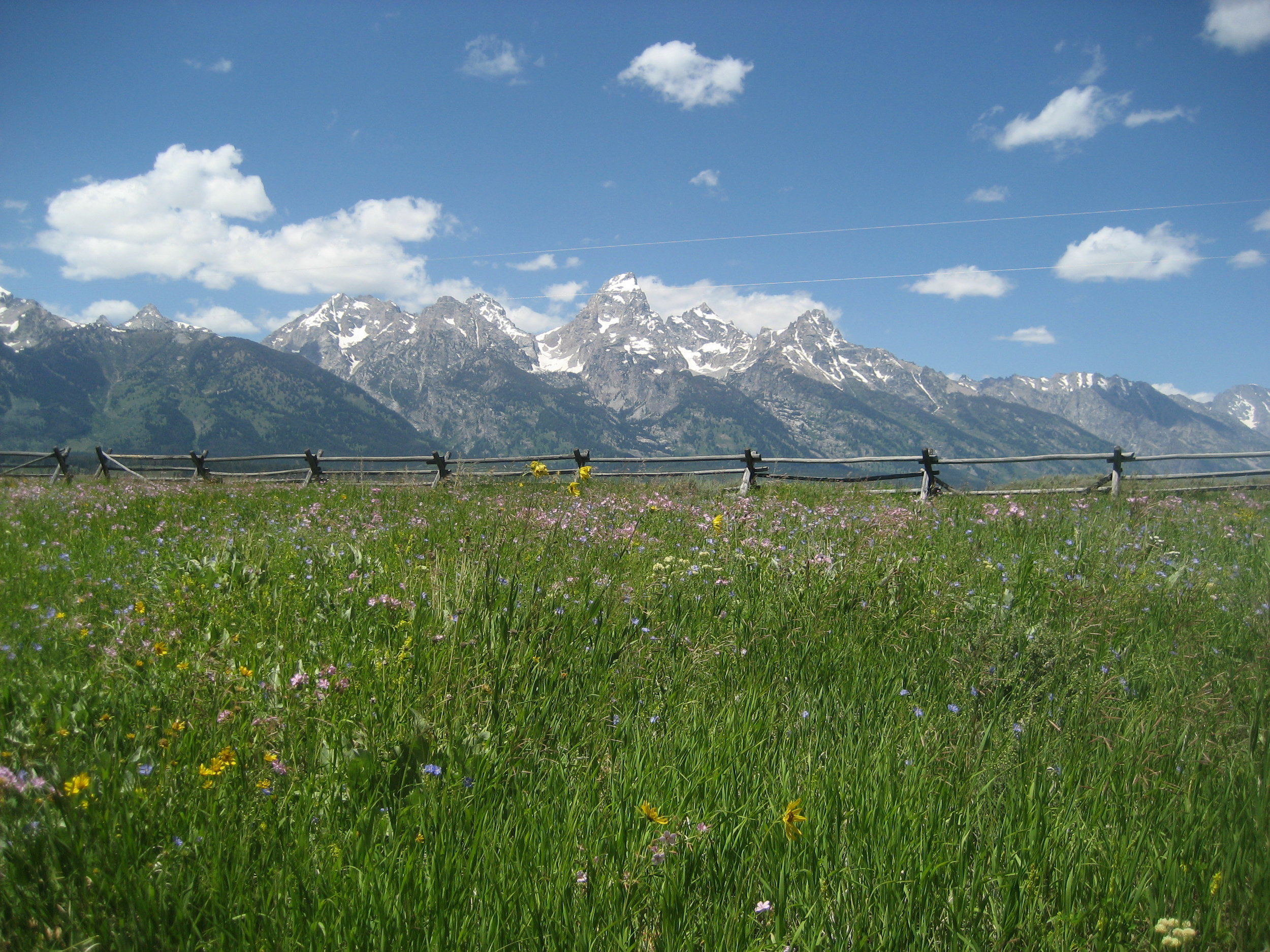 McReynolds Blacktail Cabins - Moose, Wyoming - glamping.directory