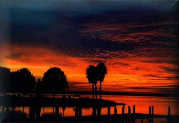 Bay Lake Motorcoach Resort - Polk City, Florida - glamping.directory
