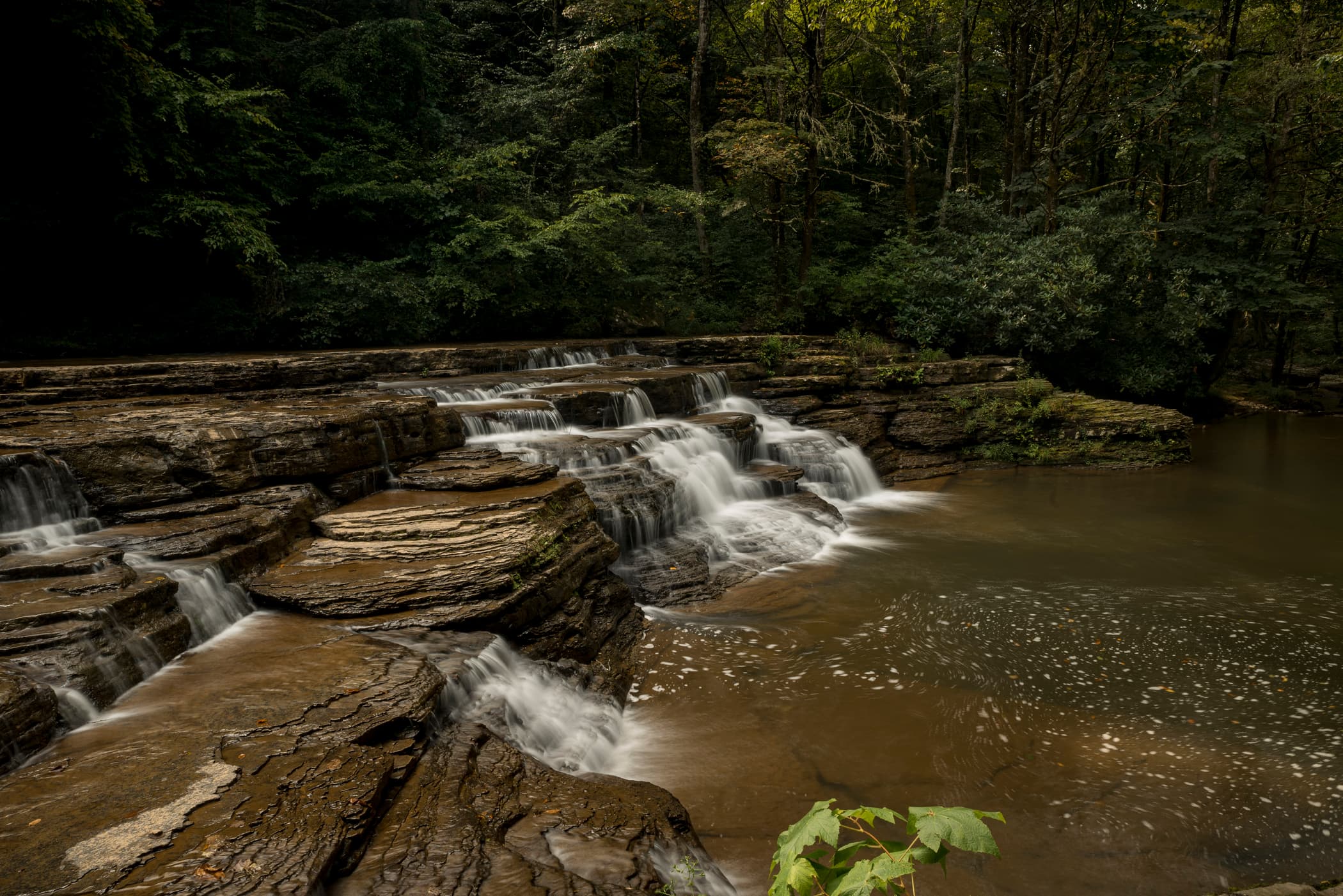 Camp Creek State Park and Forest - Camp Creek, West Virginia - glamping.directory