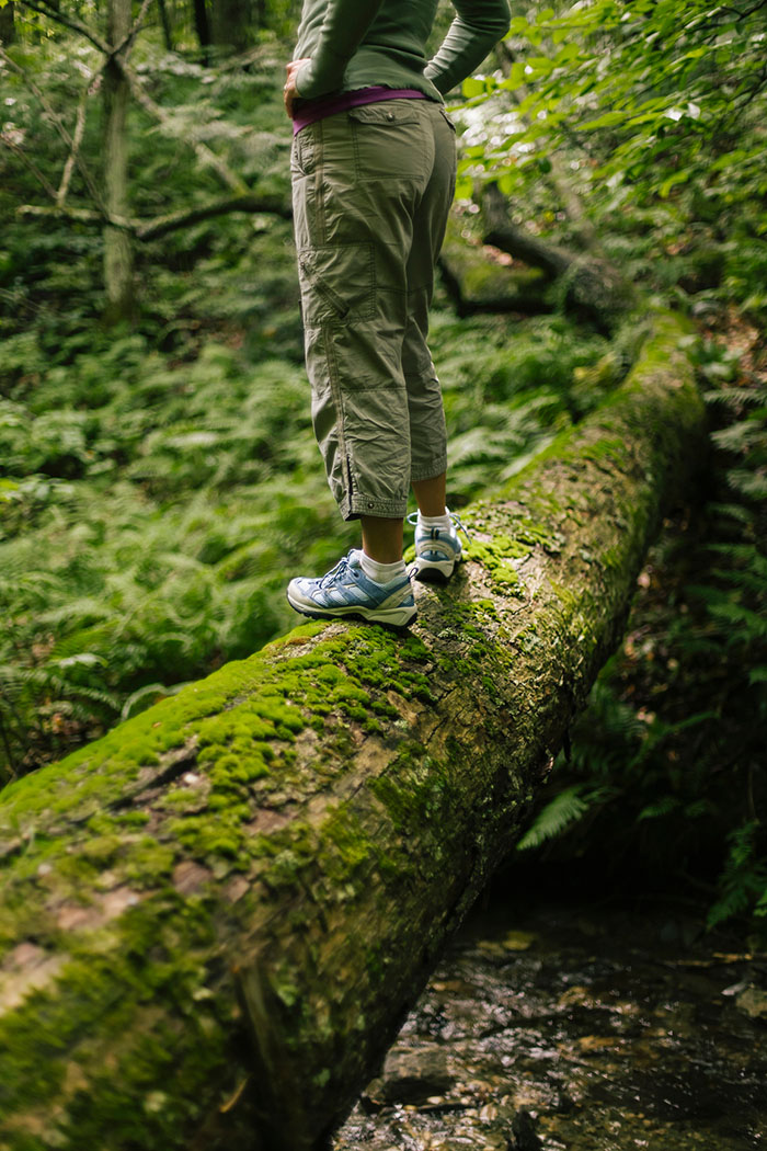Naturluxe & Stars - Watkins Glen, New York - glamping.directory