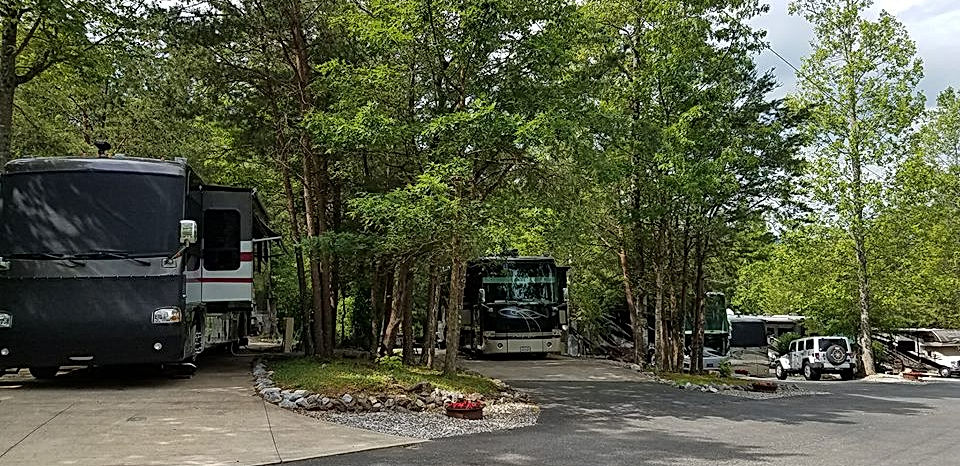 Smoky Bear Campground and RV Park - Gatlinburg, Tennessee - glamping.directory