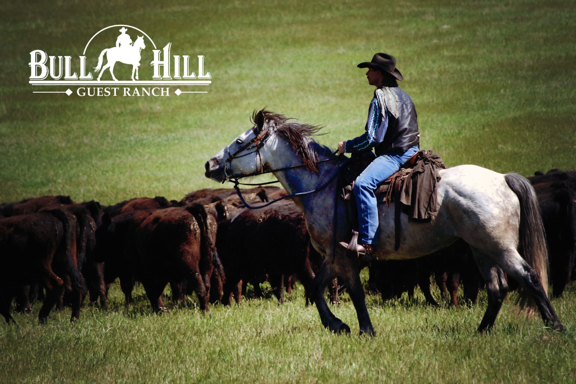 Bull Hill Guest Ranch - Kettle Falls, Washington - glamping.directory