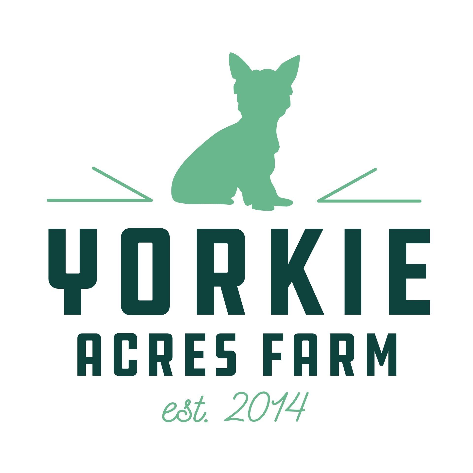 Yorkie Acres Farm & Yurt - Friendsville, Maryland - glamping.directory