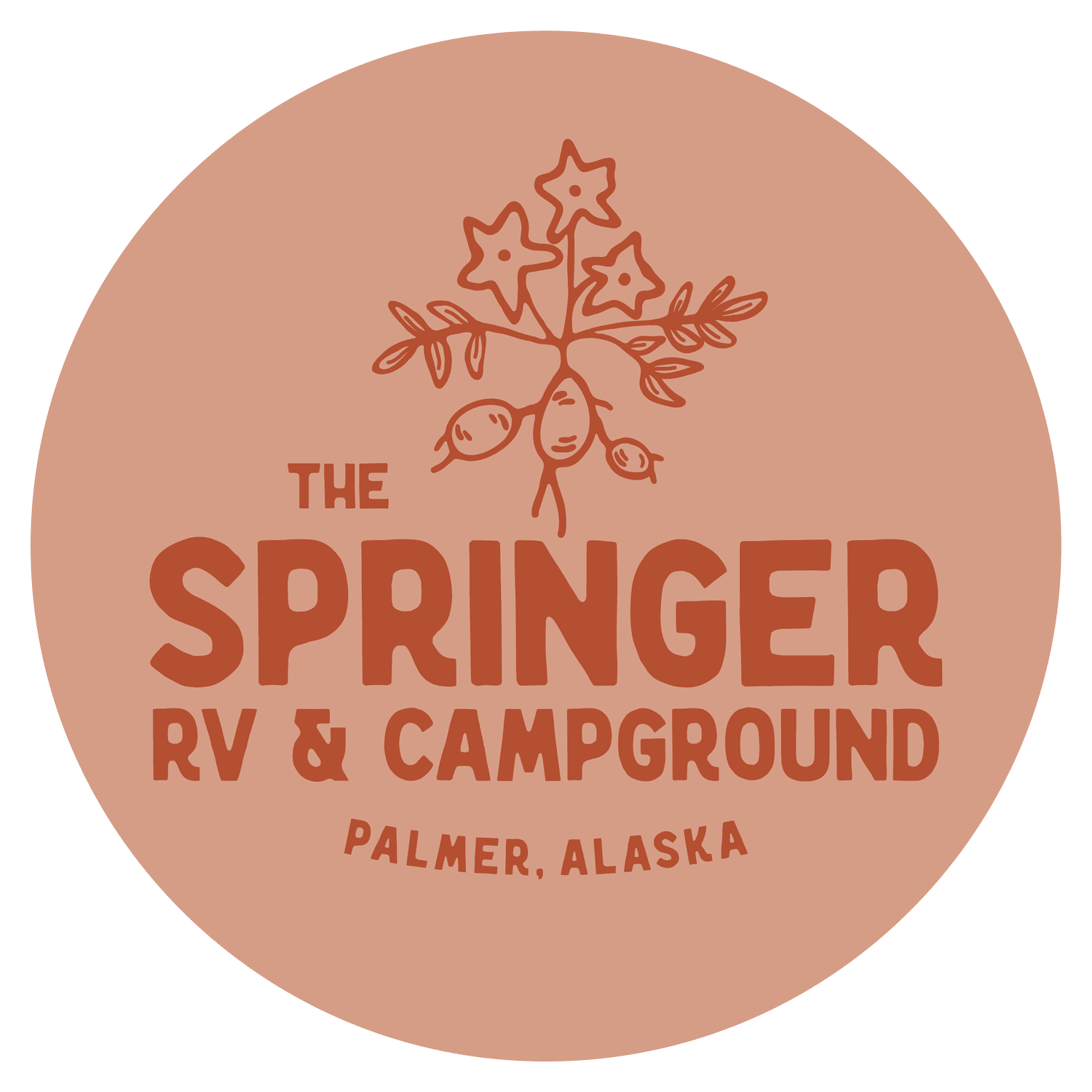 The Springer RV & Campground - Palmer, Alaska - glamping.directory