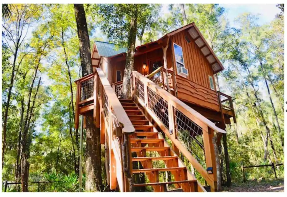 Treehouse Cabin Retreat - Florida - Old Town, Florida - glamping.directory