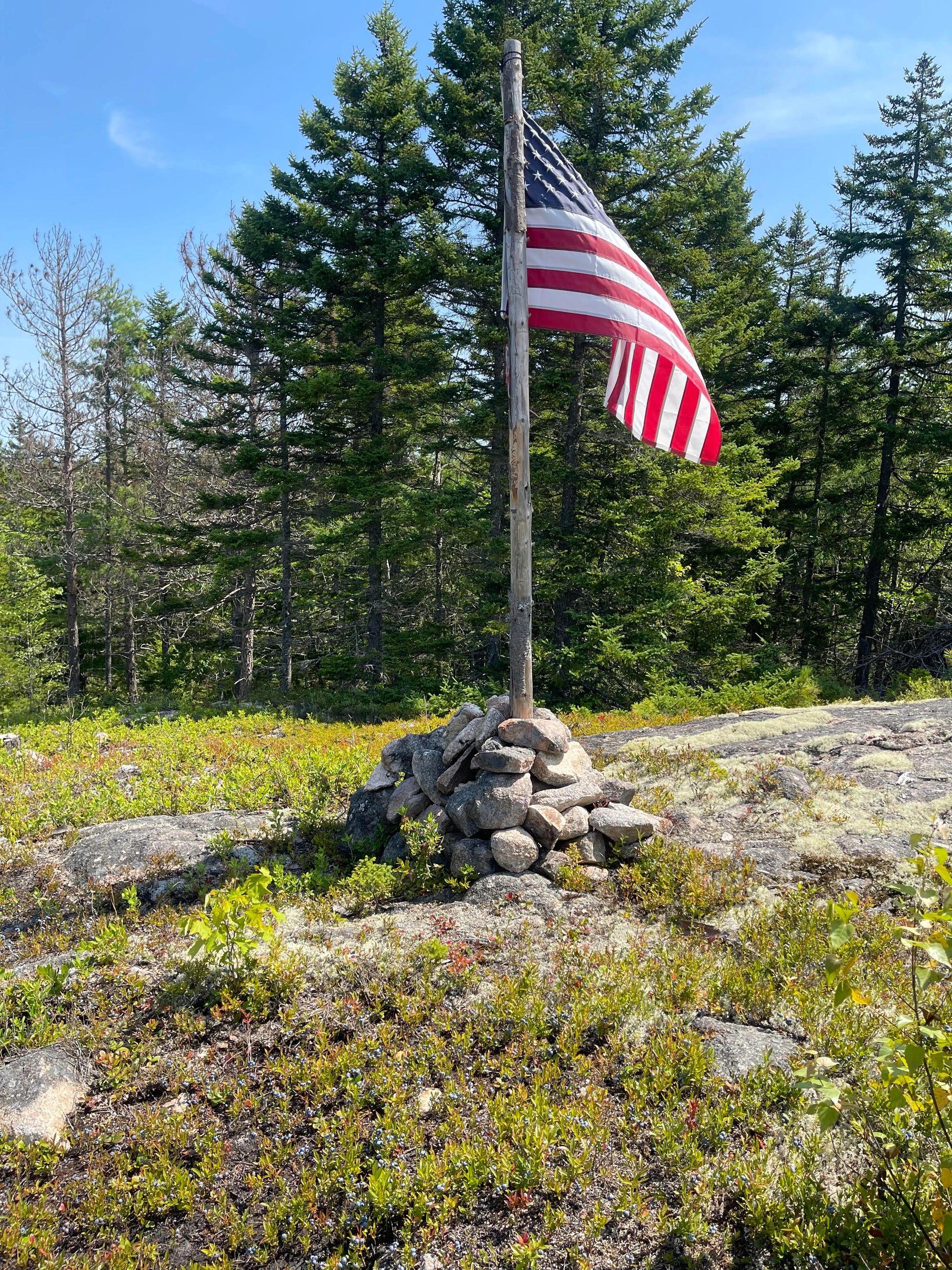 Balsam Hill Cabins - Milbridge, Maine - glamping.directory