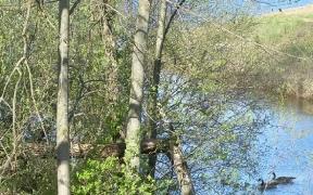 Krystal Lake Campground - Vassar, Michigan - glamping.directory