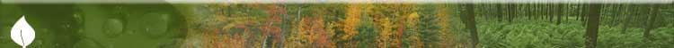 New Green Acres RV Park - Walterboro, South Carolina - glamping.directory