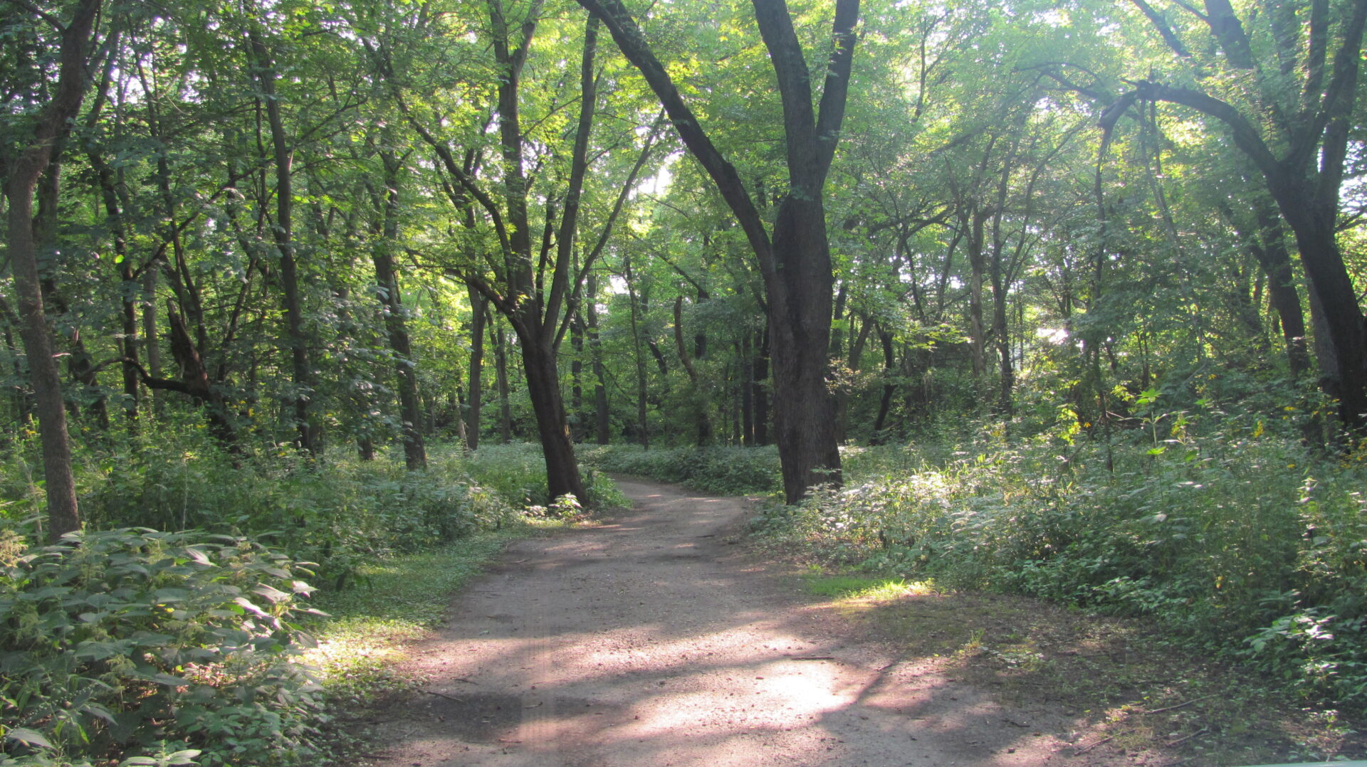 Outback Campground & Canoe Rental - Monticello, Iowa - glamping.directory