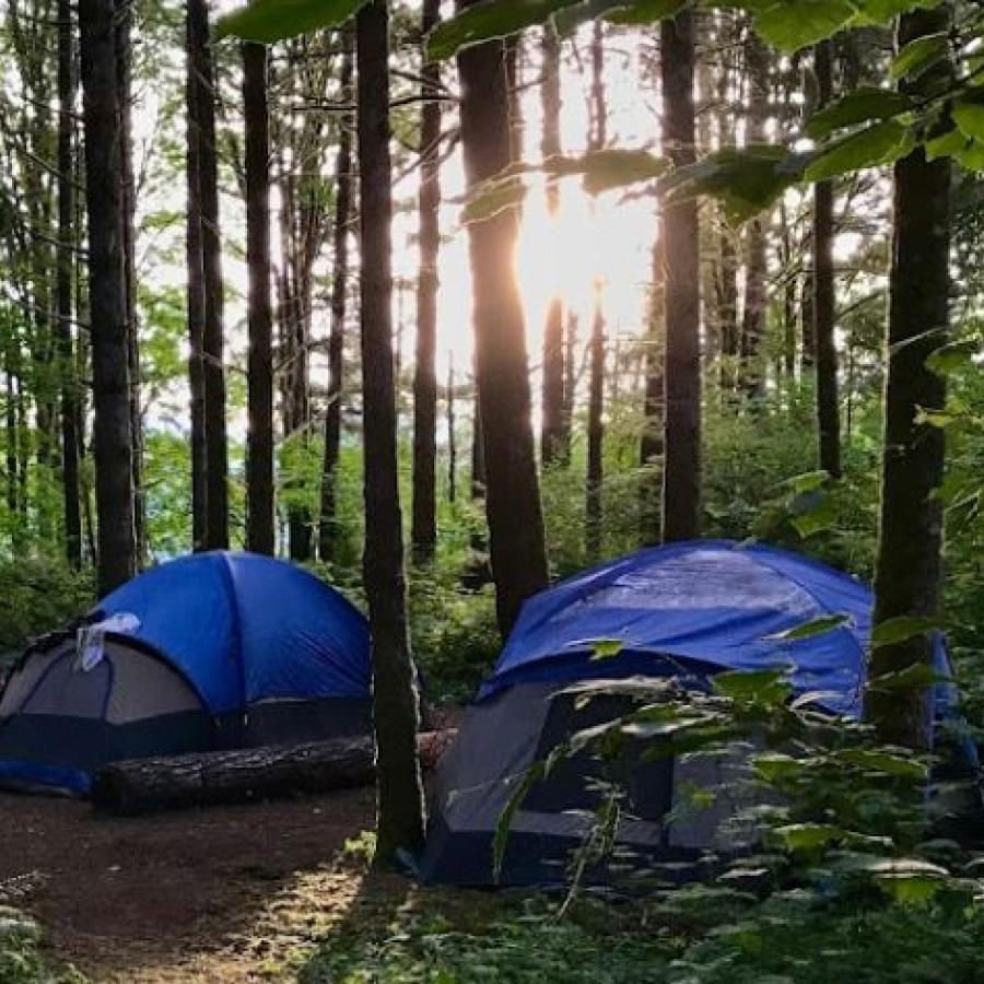 Ike Kinswa State Park - Silver Creek, Washington - glamping.directory
