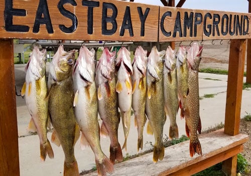 Eastbay Campground - Warwick, North Dakota - glamping.directory