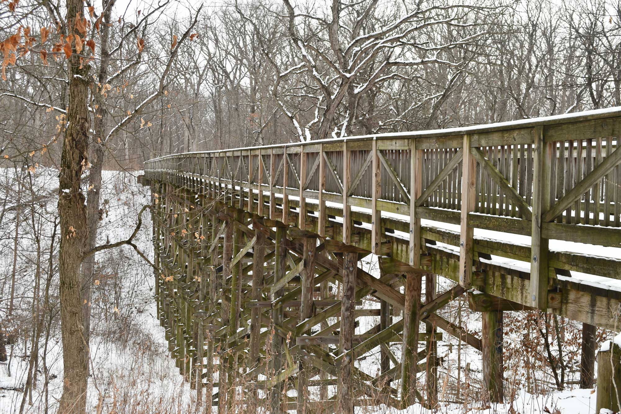 Goodenow Grove Nature Preserve Camping Pod - Crete, Illinois - glamping.directory