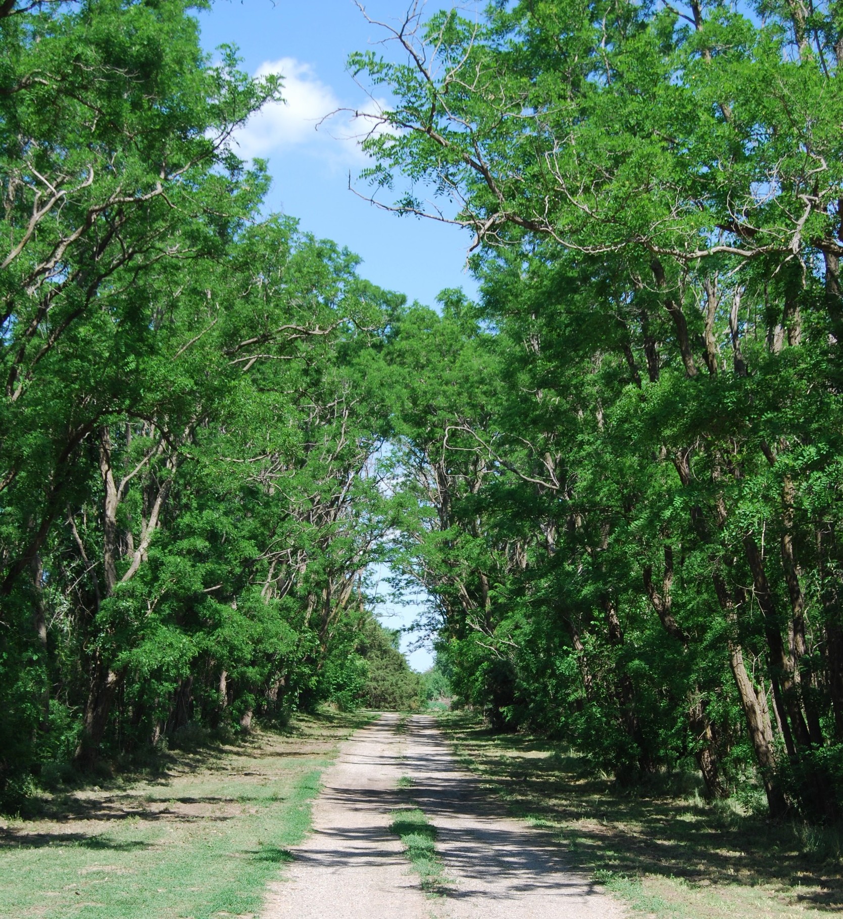 Pine Haven Retreat RV Park - St John, Kansas - glamping.directory