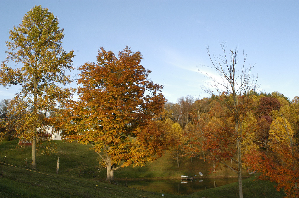 Turkey Hollow Campground - Millersburg, Ohio - glamping.directory