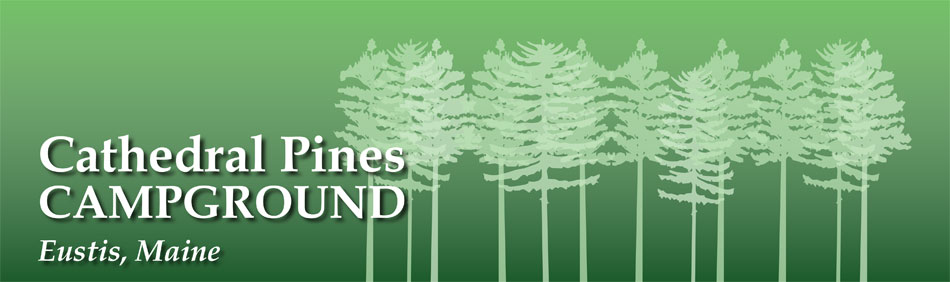 Cathedral Pines Camp Ground - Eustis, Maine - glamping.directory