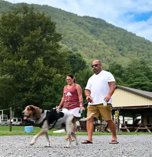 Pettecote Junction Campground - Cedar Run, Pennsylvania - glamping.directory
