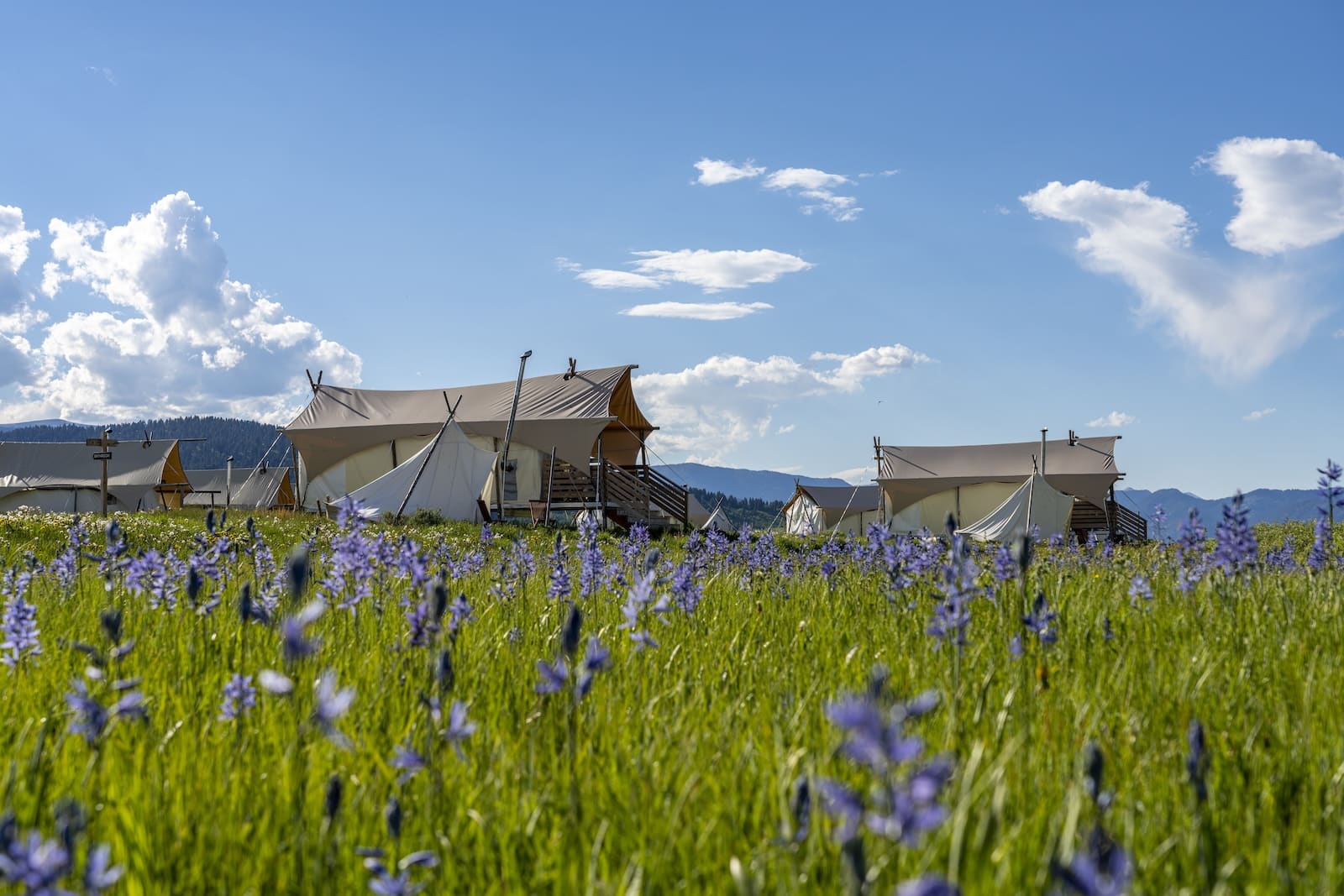Under Canvas West Yellowstone - West Yellowstone, Montana - glamping.directory