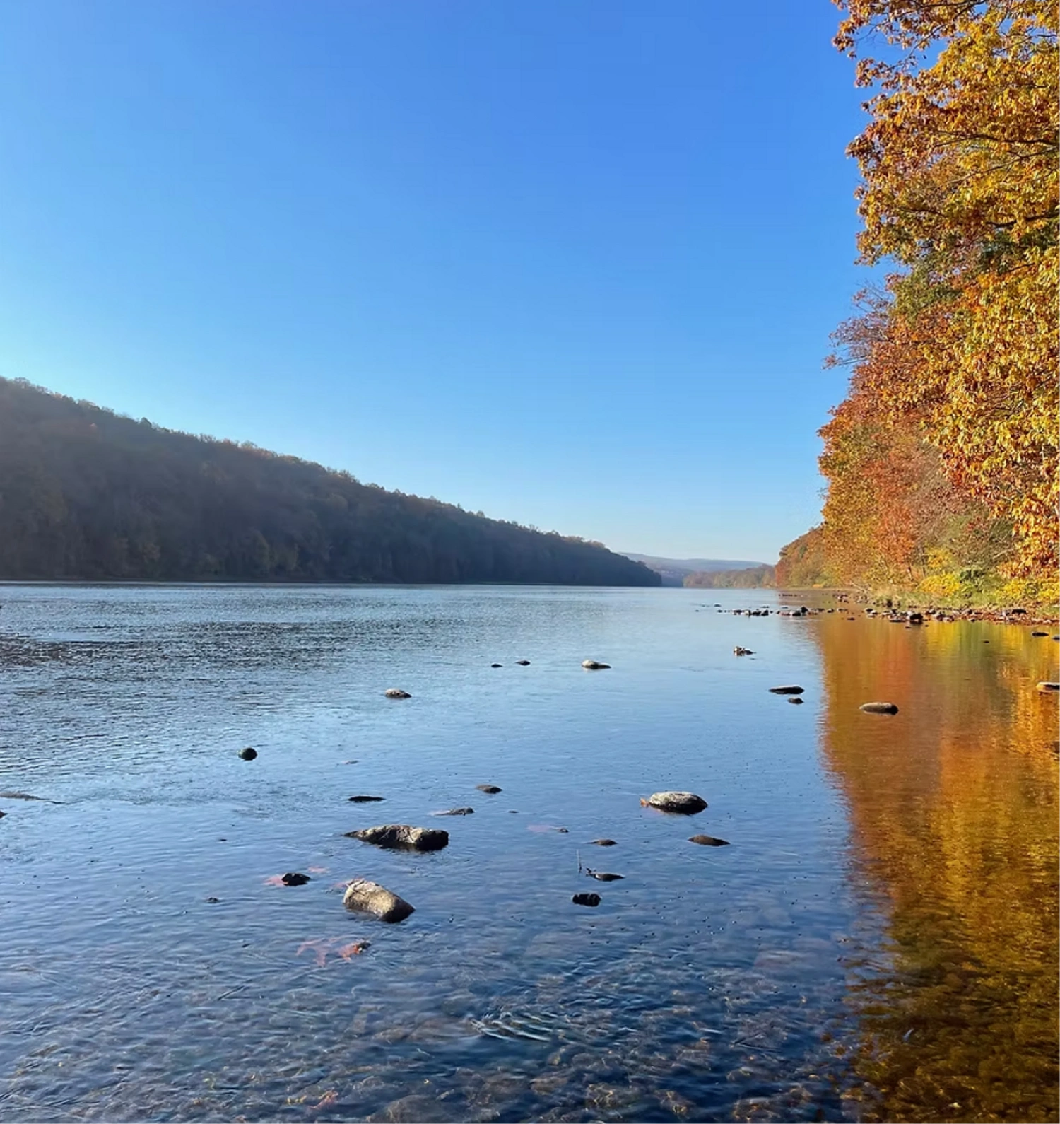 Dingmans Campground - Dingmans Ferry, Pennsylvania - glamping.directory
