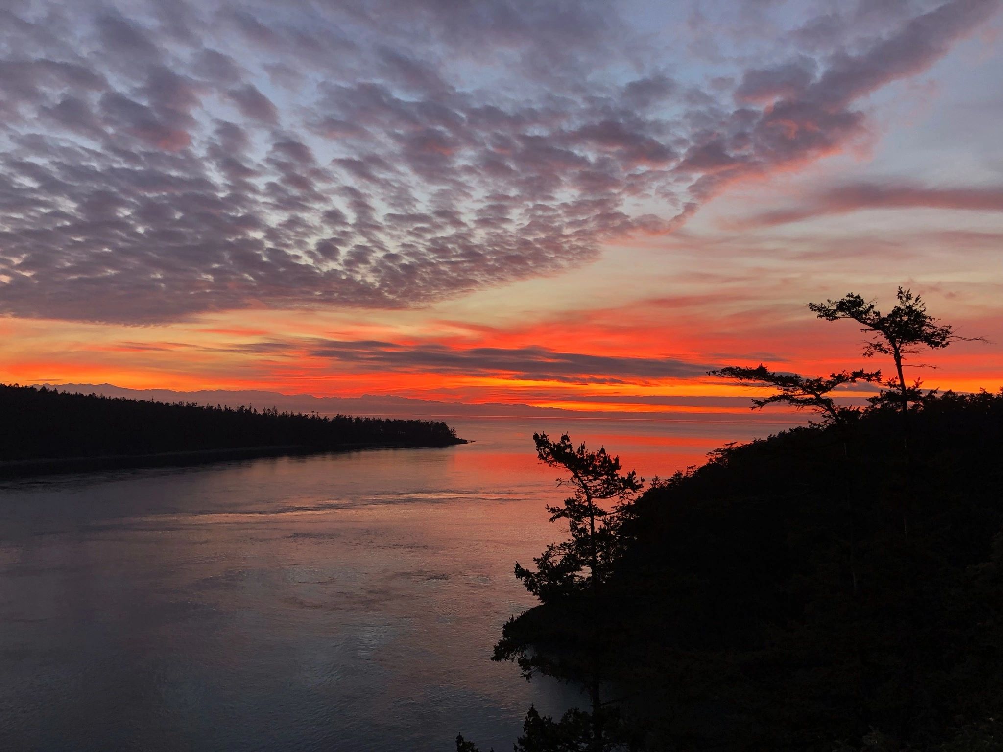 North Whidbey RV Park - Oak Harbor, Washington - glamping.directory